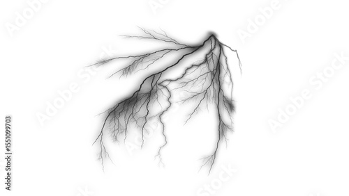 feather on white background & curve light effect