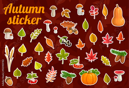 Thanksgiving and autumn leaves stickers pack. Cartoon vector set of patches featuring natural elements like leaves, mushrooms, pine cones, acorns, berries, pumpkins, and gourds with the wheat ears