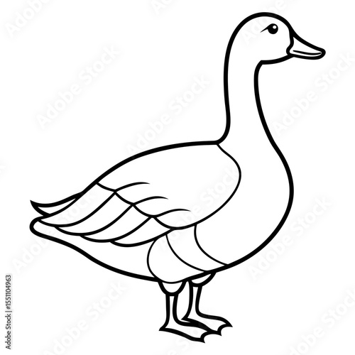 Snow Goose White Line Art