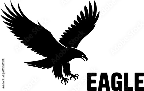eagle on a white background