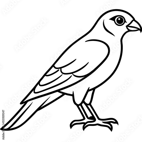 Sparrowhawk White Ink Design