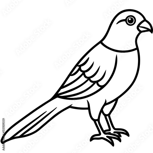 Sparrowhawk White Ink Design