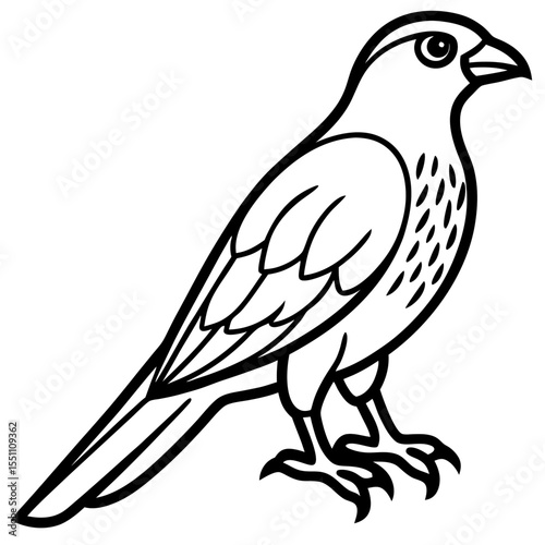 Sparrowhawk White Ink Design