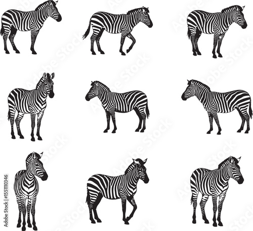 Collection of nine black and white silhouette illustrations of zebras in various poses