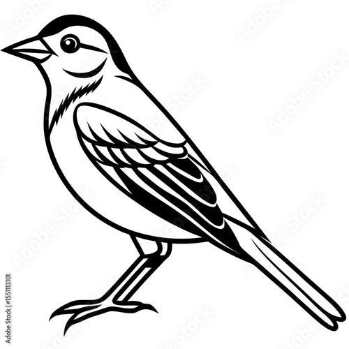 Stylized Yellowhammer Contour Vector Art