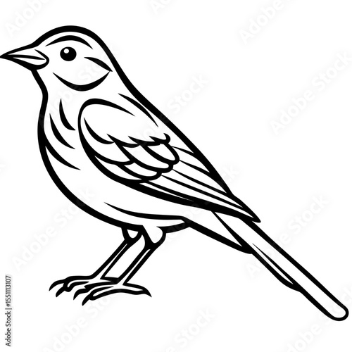 Stylized Yellowhammer Contour Vector Art