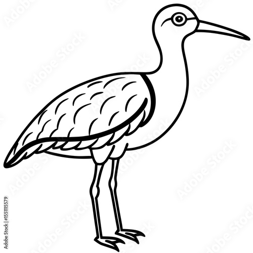 Whimbrel Minimalist Line Art Illustration