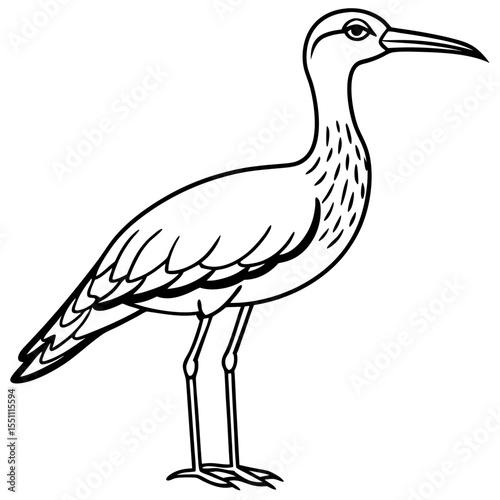 Whimbrel Minimalist Line Art Illustration