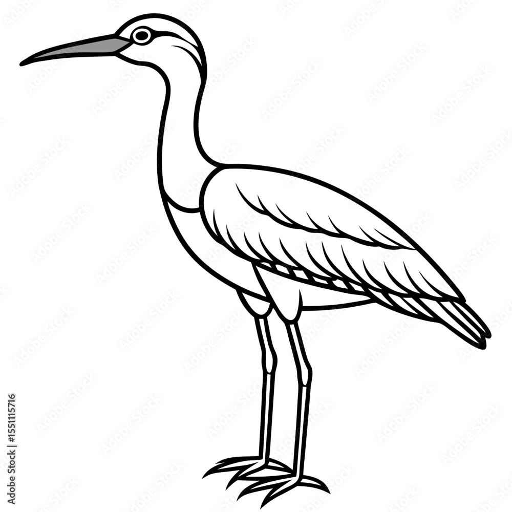 Fototapeta premium Whimbrel Minimalist Line Art Illustration
