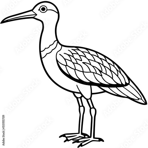 Whimbrel Minimalist Line Art Illustration