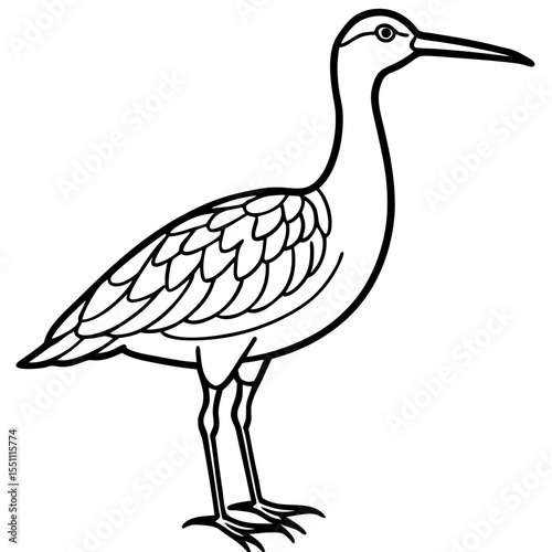 Whimbrel Minimalist Line Art Illustration