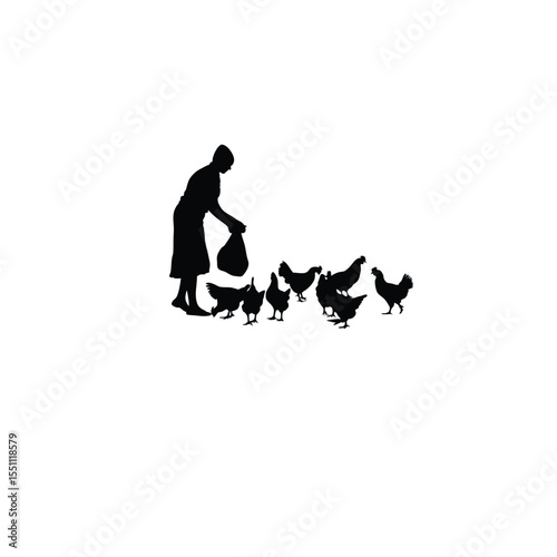 Silhouette of a person feeding chickens in a poultry farm on white background