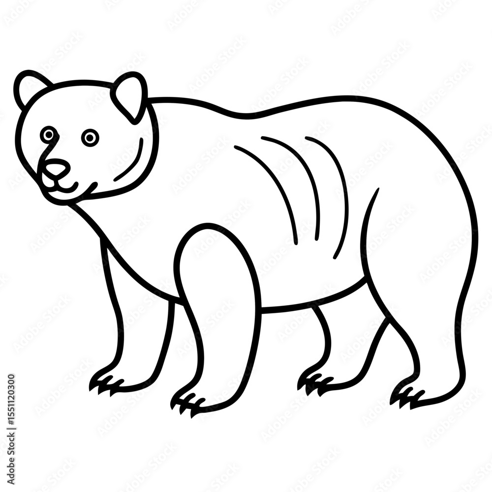 Obraz premium White Line Art Spectacled Bear Vector