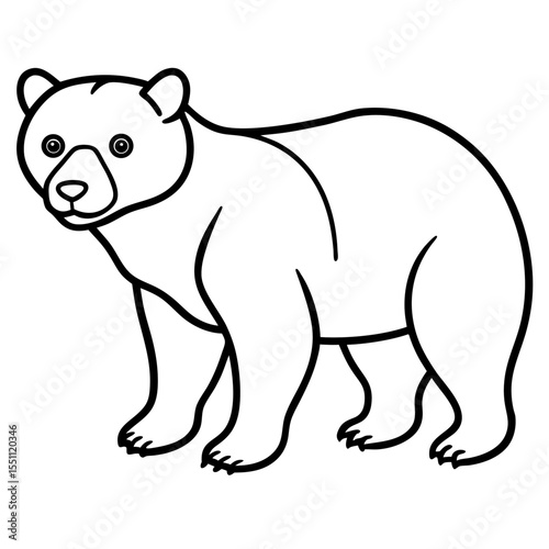 White Line Art Spectacled Bear Vector