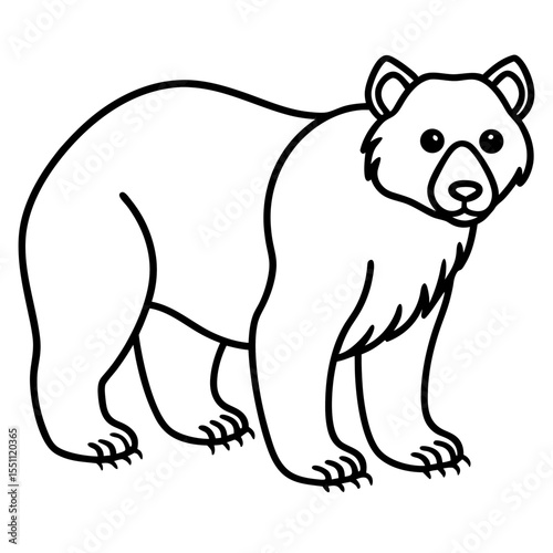 White Line Art Spectacled Bear Vector