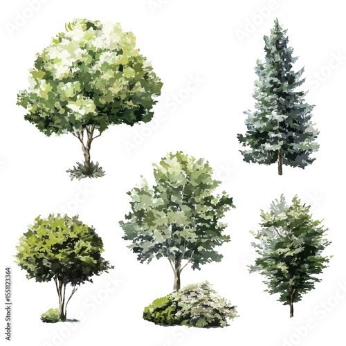 Watercolor Trees And Foliage Illustration Set. Botanical And Landscape Architecture Collection. Decorative And Eco-Conscious Use. Isolated Vector Illustration