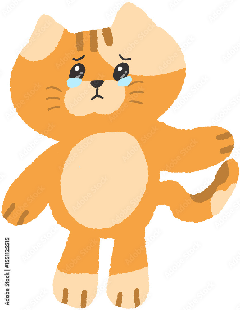 Obraz premium Cute Cat