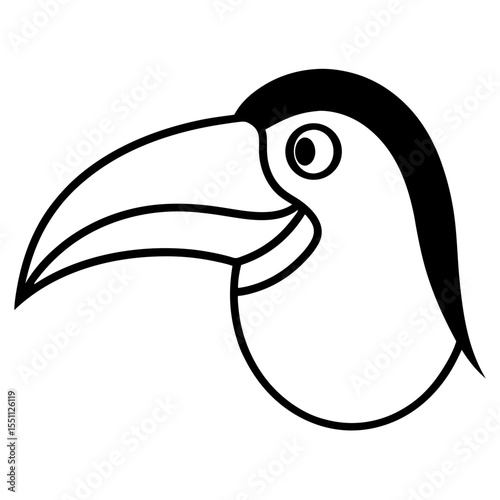toucan bird vector