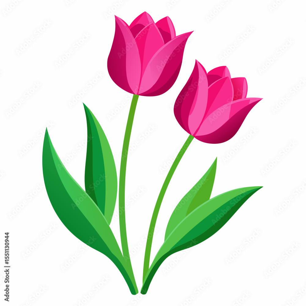Obraz premium deep pink tulips vector illustration 