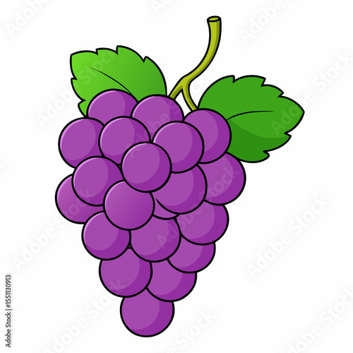 vector illustration of grapes