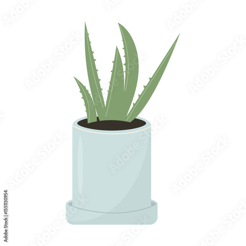 Aloe vera plant in pot. Indoor potted plants. Houseplants for interior home decoration, green plant in flower pot. Vector illustration, flat style.