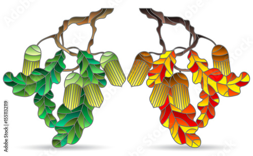 Set of stained glass illustrations with oak branches , isolated elements on a white background