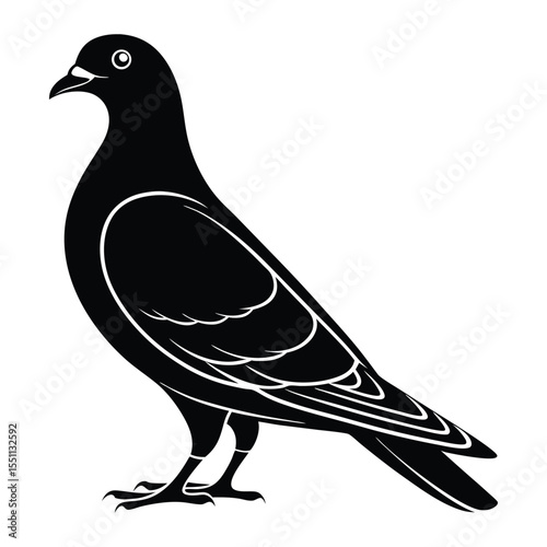 pigeon bird black silhouette vector, Simple silhouette Design vector icon with white background. Wild bird