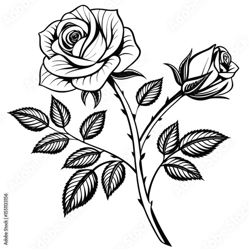black and white rose