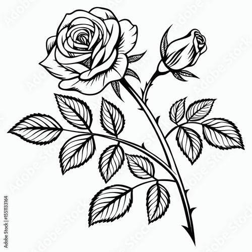 black and white rose