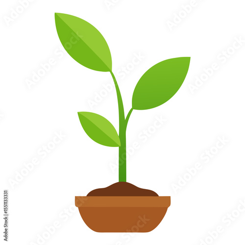 Seedling: New Plant Growth

