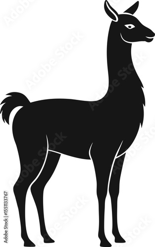 silhouette of a llama 