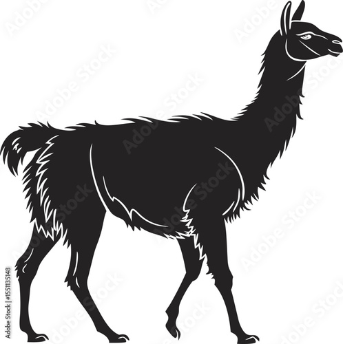 vector illustration of a llama