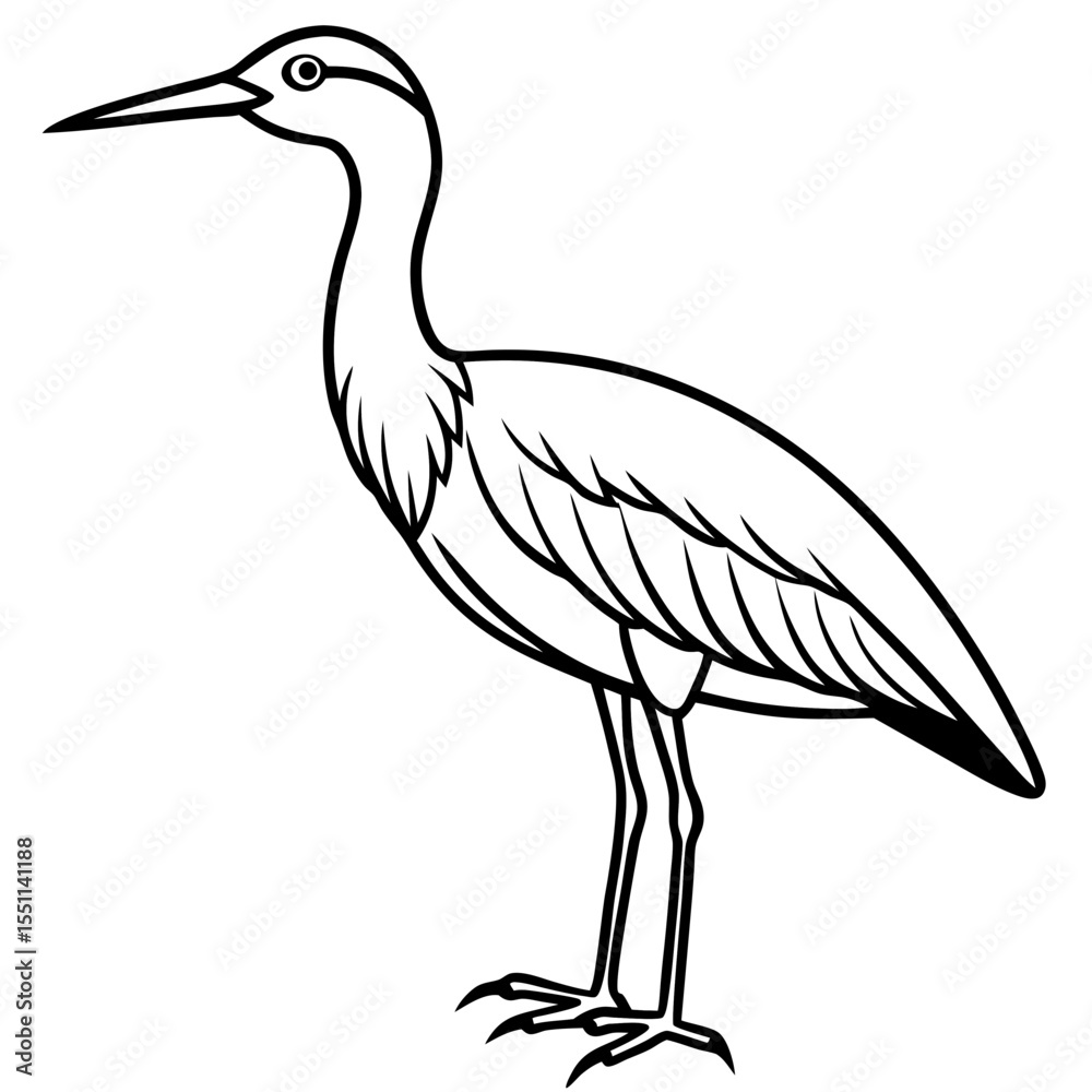 Obraz premium Elegant Whimbrel Outline Vector Design