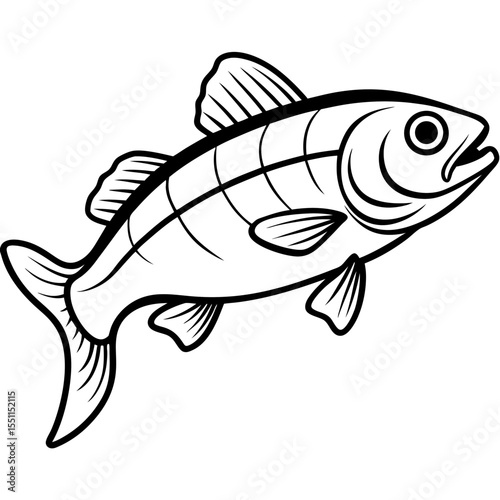 Elegant Zander Fish Line Sketch Vector