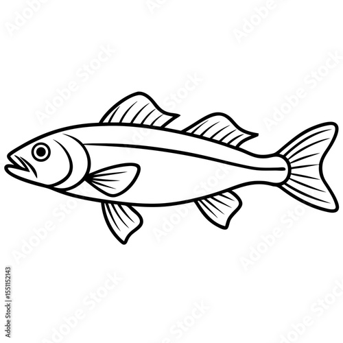 Elegant Zander Fish Line Sketch Vector