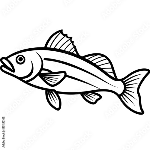 Elegant Zander Fish Line Sketch Vector