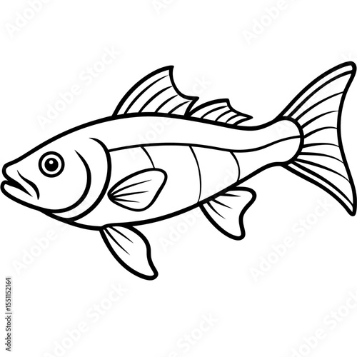 Elegant Zander Fish Line Sketch Vector