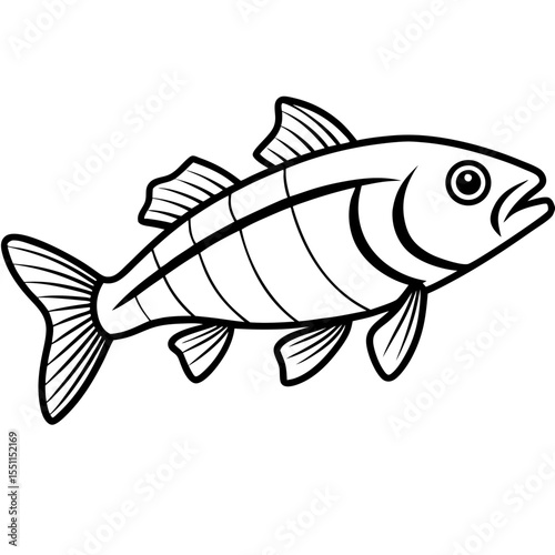 Elegant Zander Fish Line Sketch Vector