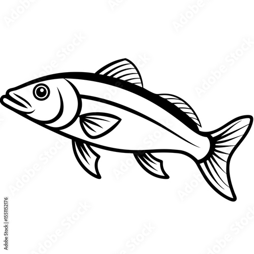Elegant Zander Fish Line Sketch Vector