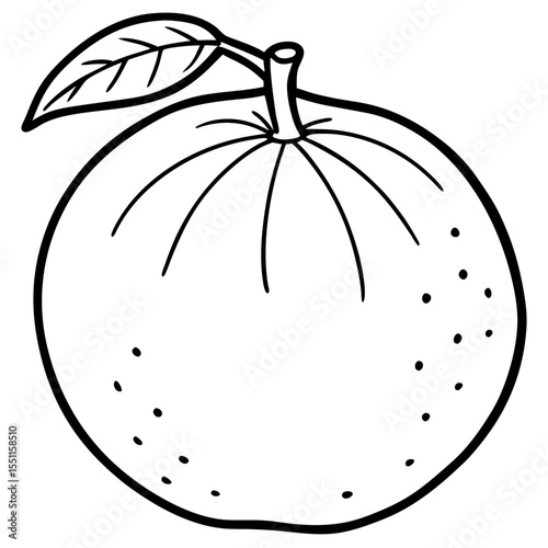 A simple Mandarin Orange line art vector