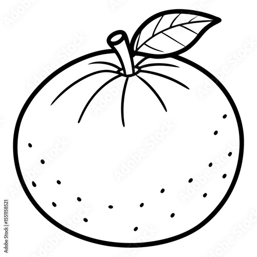 A simple Mandarin Orange line art vector