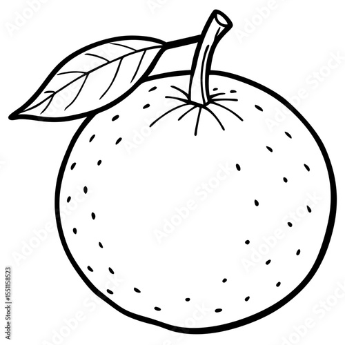 A simple Mandarin Orange line art vector