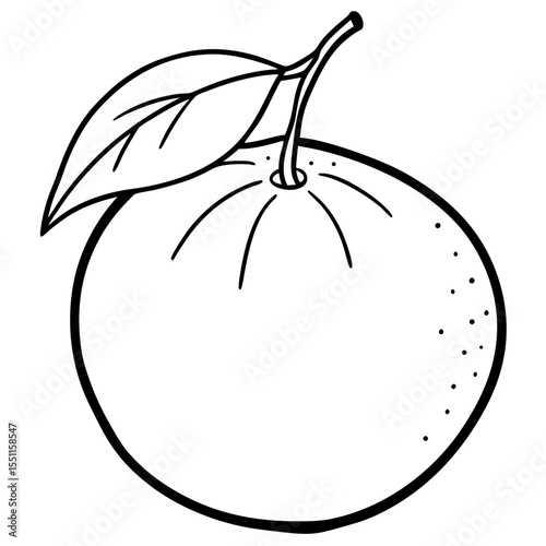 A simple Mandarin Orange line art vector