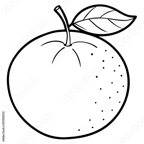 A simple Mandarin Orange line art vector