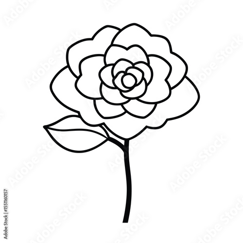 a flowering camellia tree with rosette style flowe
