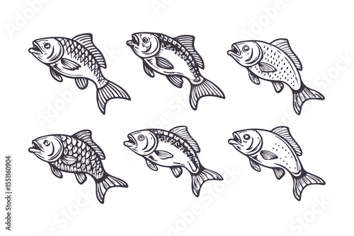 Set of Hand Drawn Fish Illustrations. Black and White Sketch Style Freshwater Fish Collection Clipart Vector Illustration on White Background