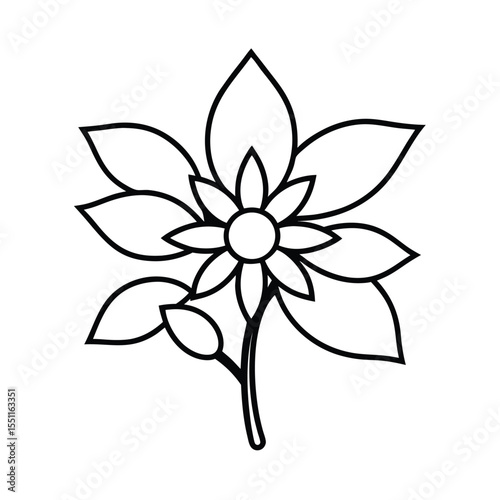 a flowering sapodilla tree with radial flowers and
