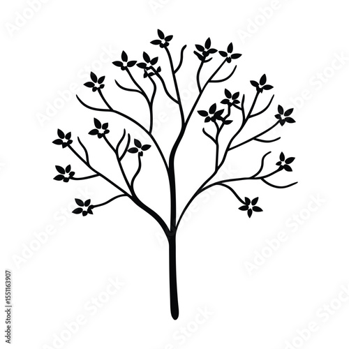 a flowering serviceberry tree with thin branches a