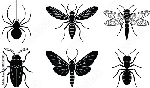 Insect silhouette vector set with intricate line details of spider, wasp, dragonfly, beetle, moth, and ant