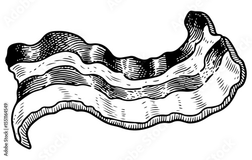 Bacon vector engraving style illustration